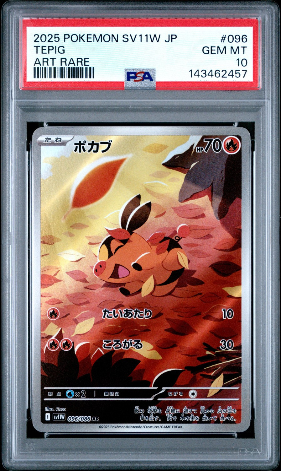 Tepig