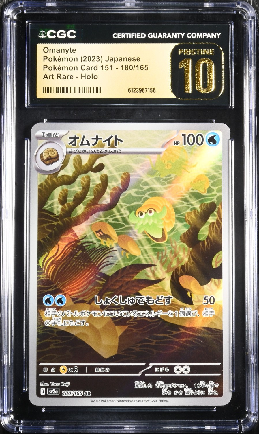 Omanyte