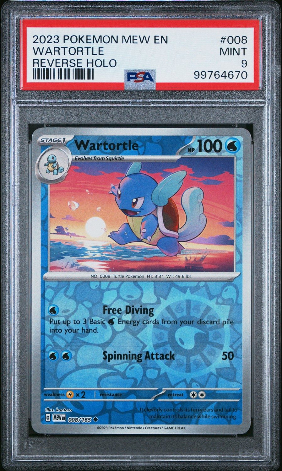 Wartortle