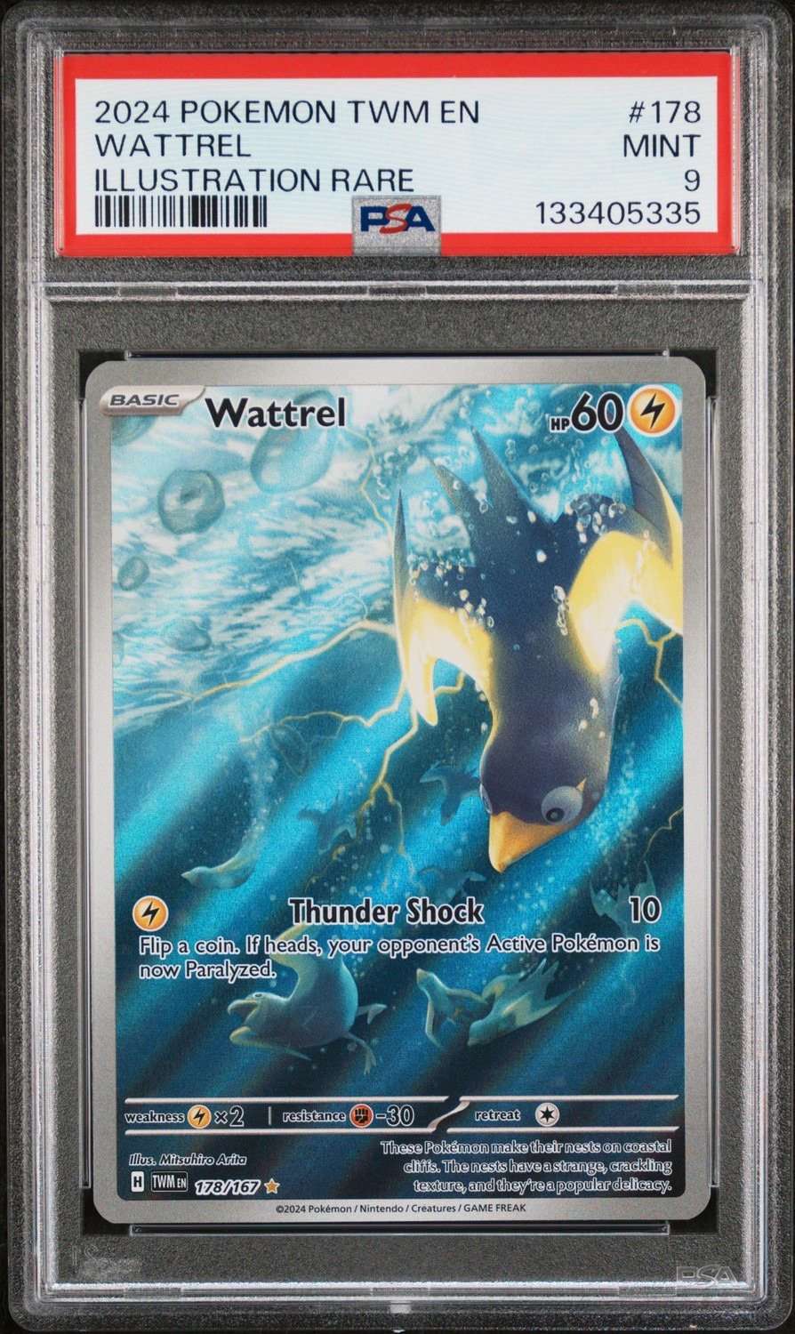 Wattrel
