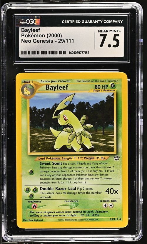 Bayleef