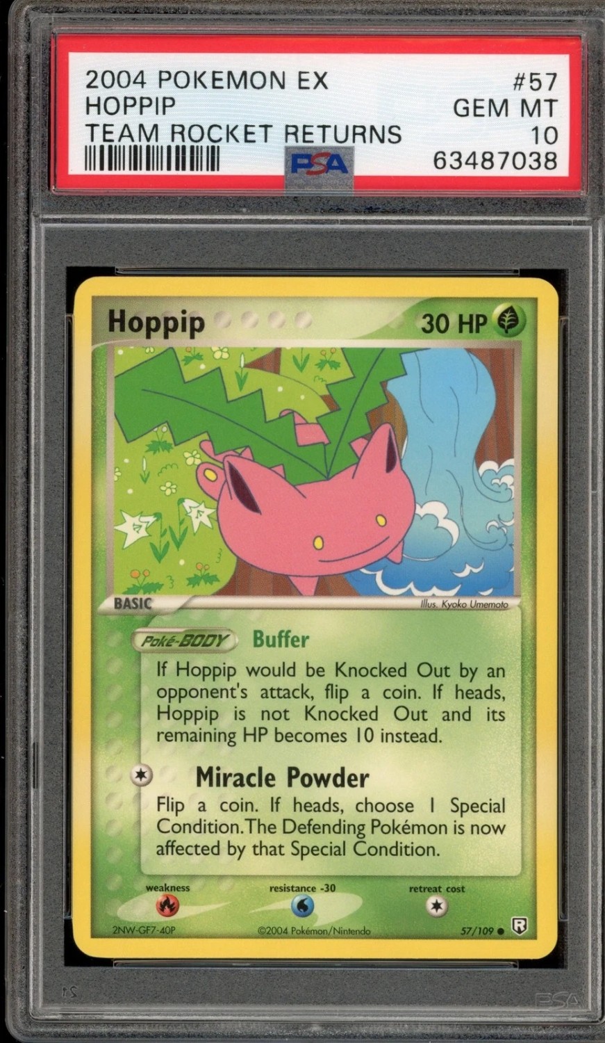 Hoppip