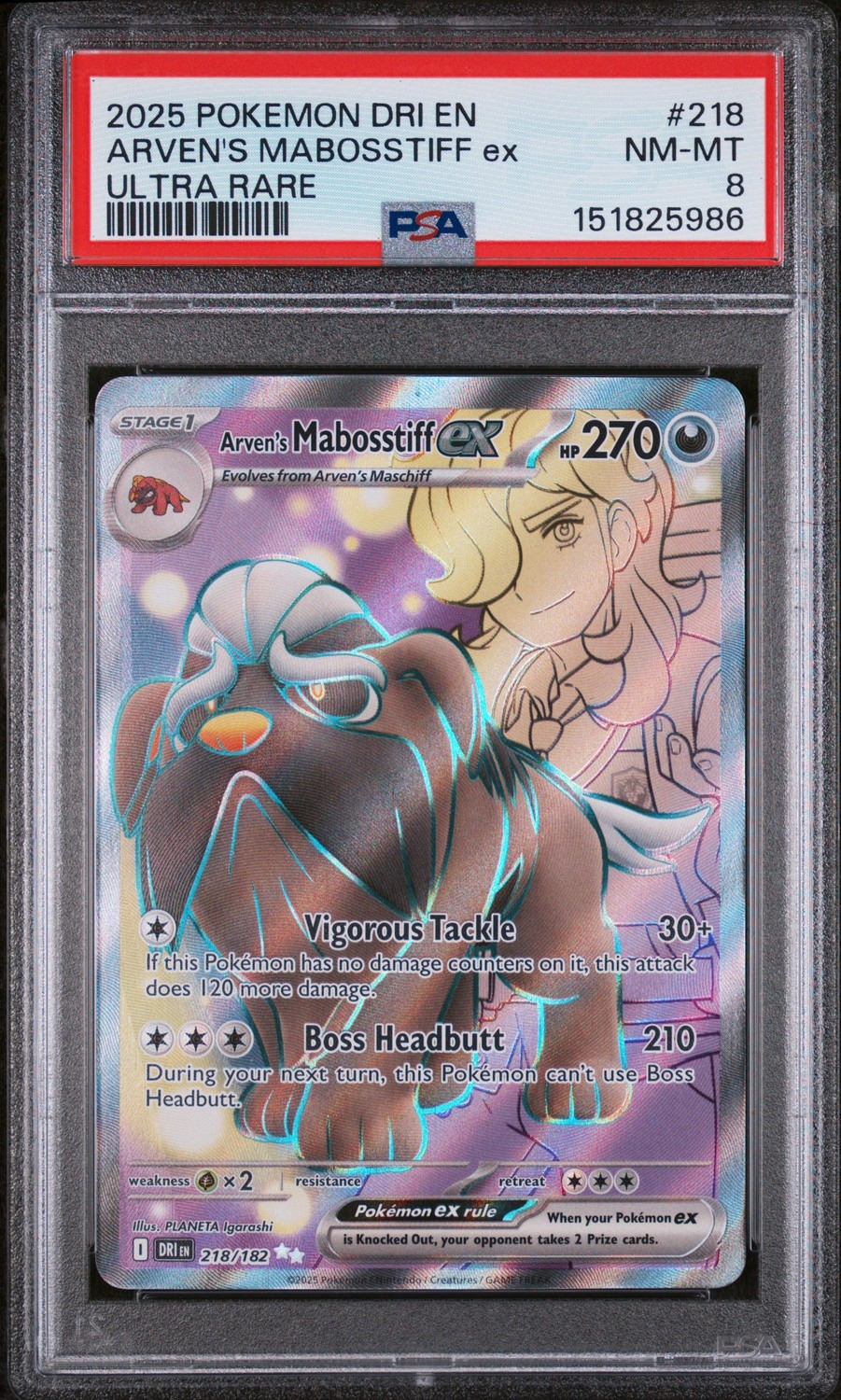 ARVEN'S MABOSSTIFF ex