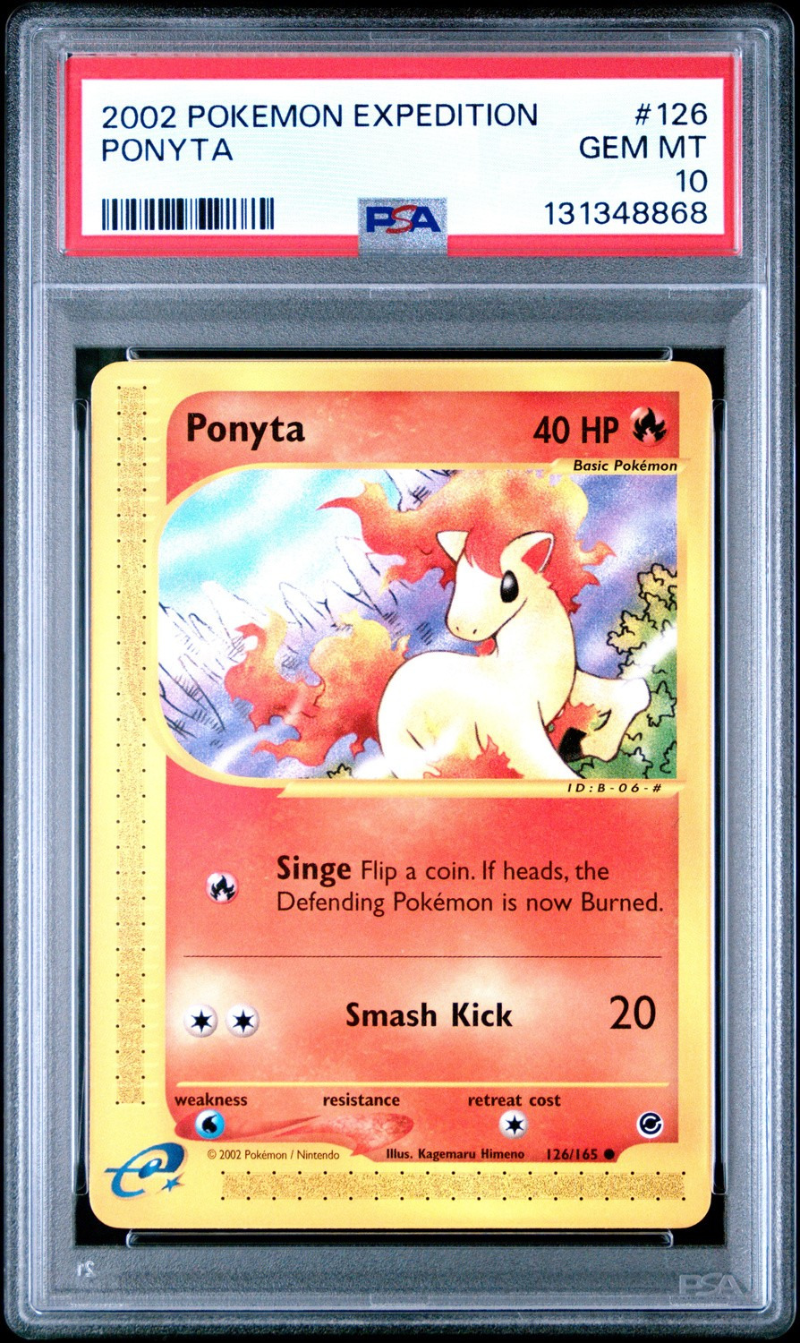 Ponyta
