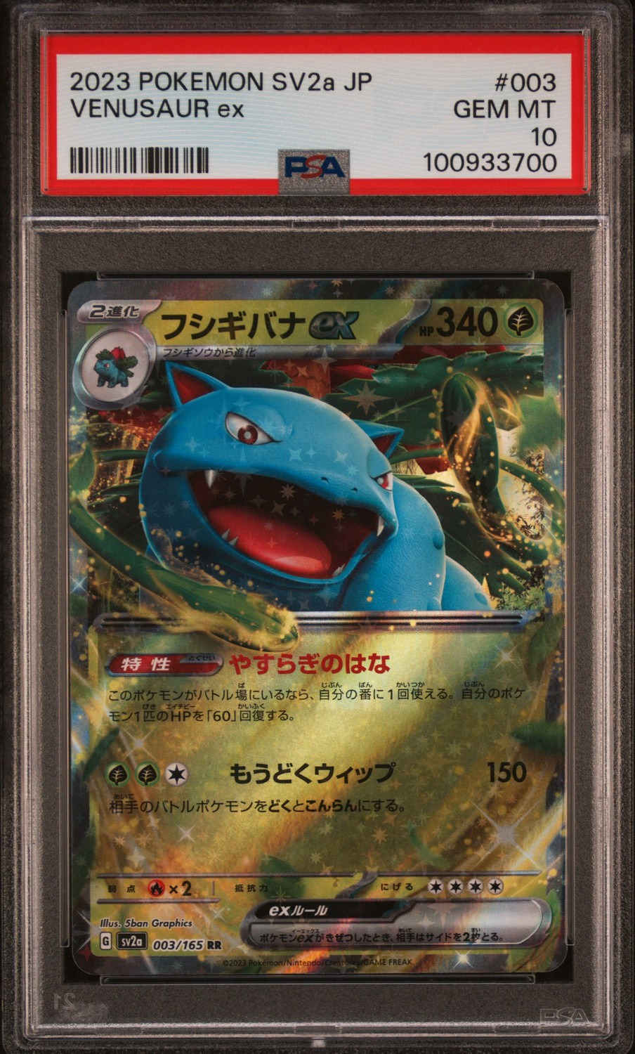 VENUSAUR ex