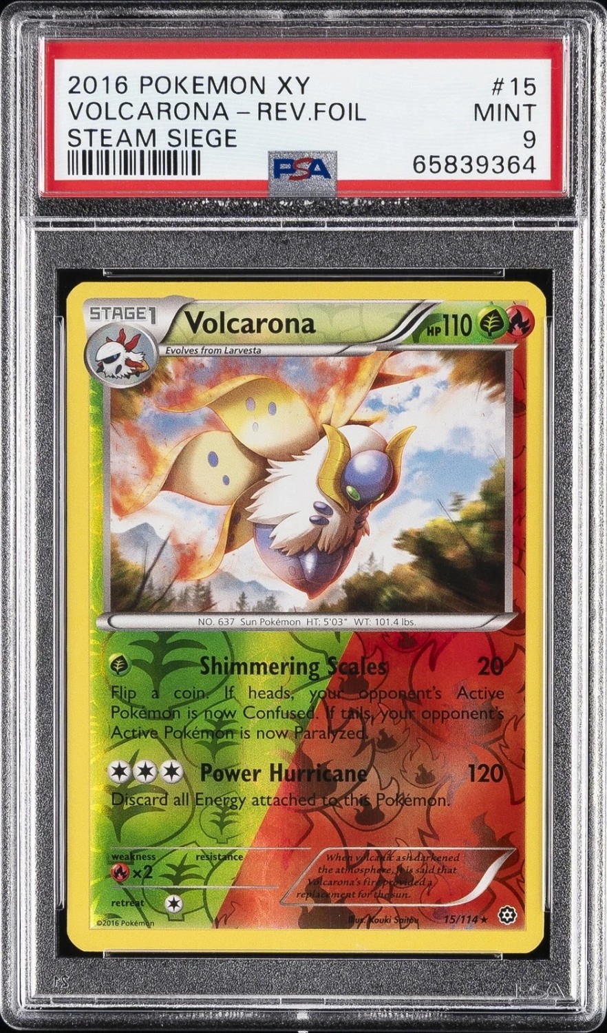 VOLCARONA