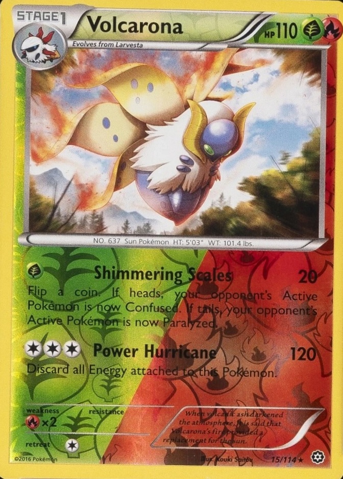 Reverse Holo