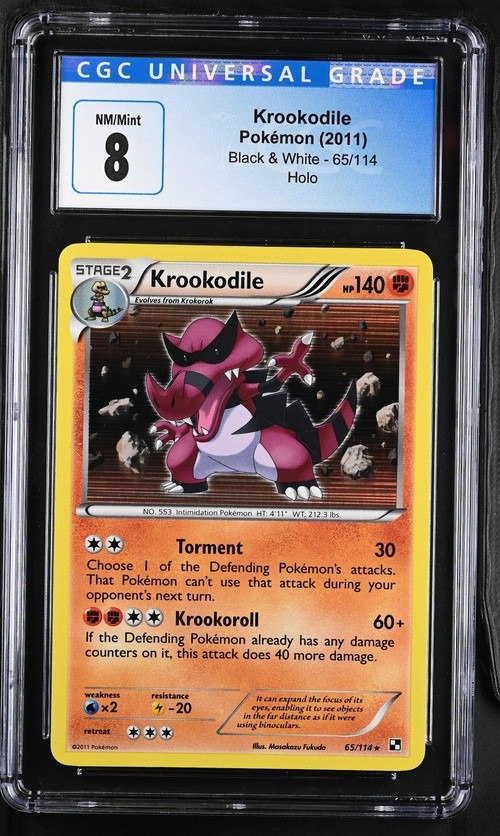 Krookodile