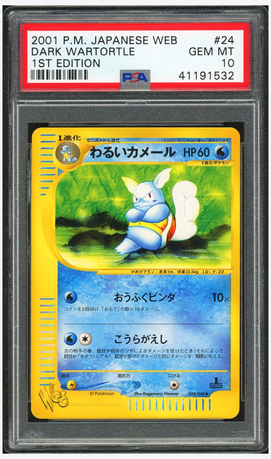 Dark Wartortle