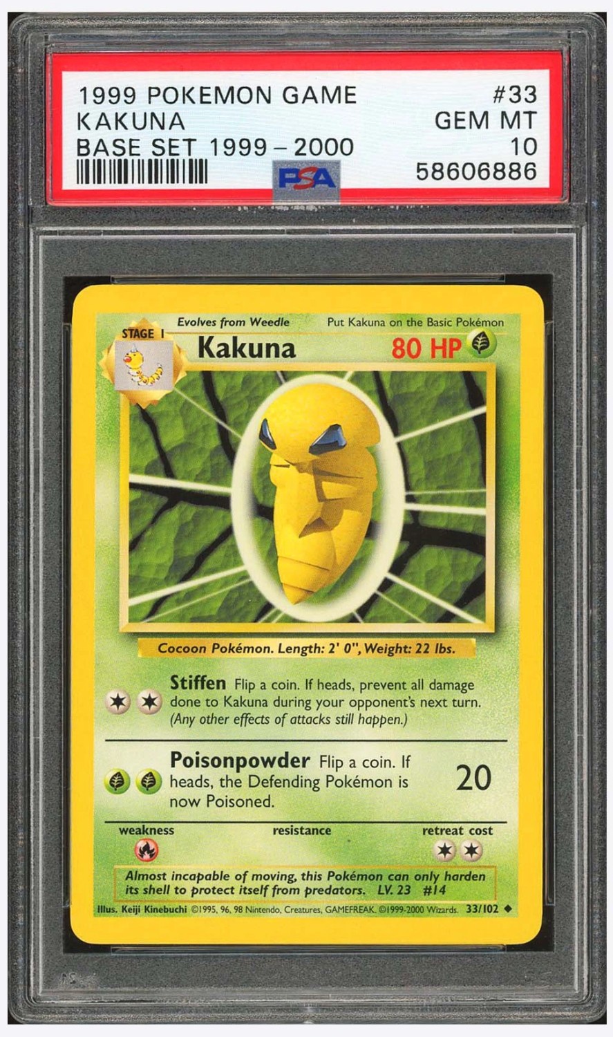 KAKUNA