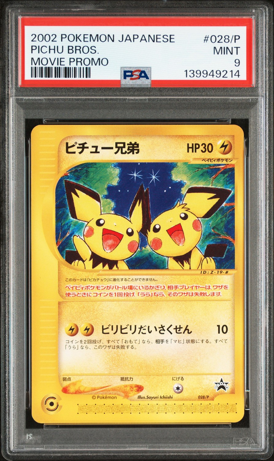 Pichu Bros