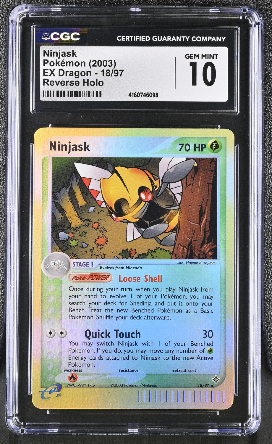 Ninjask
