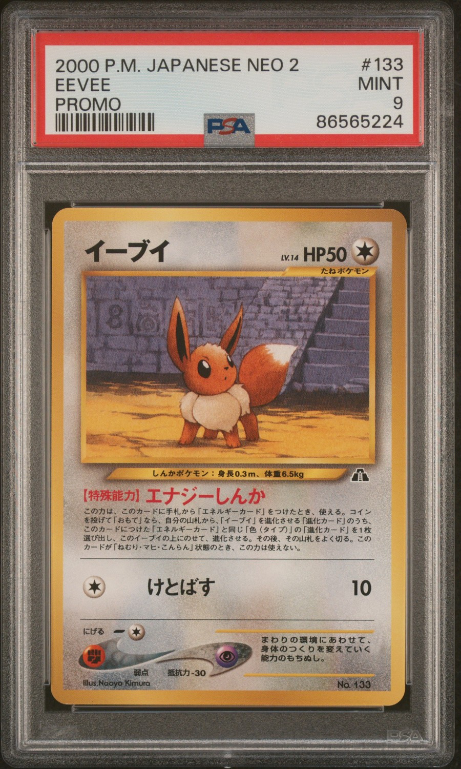 Eevee