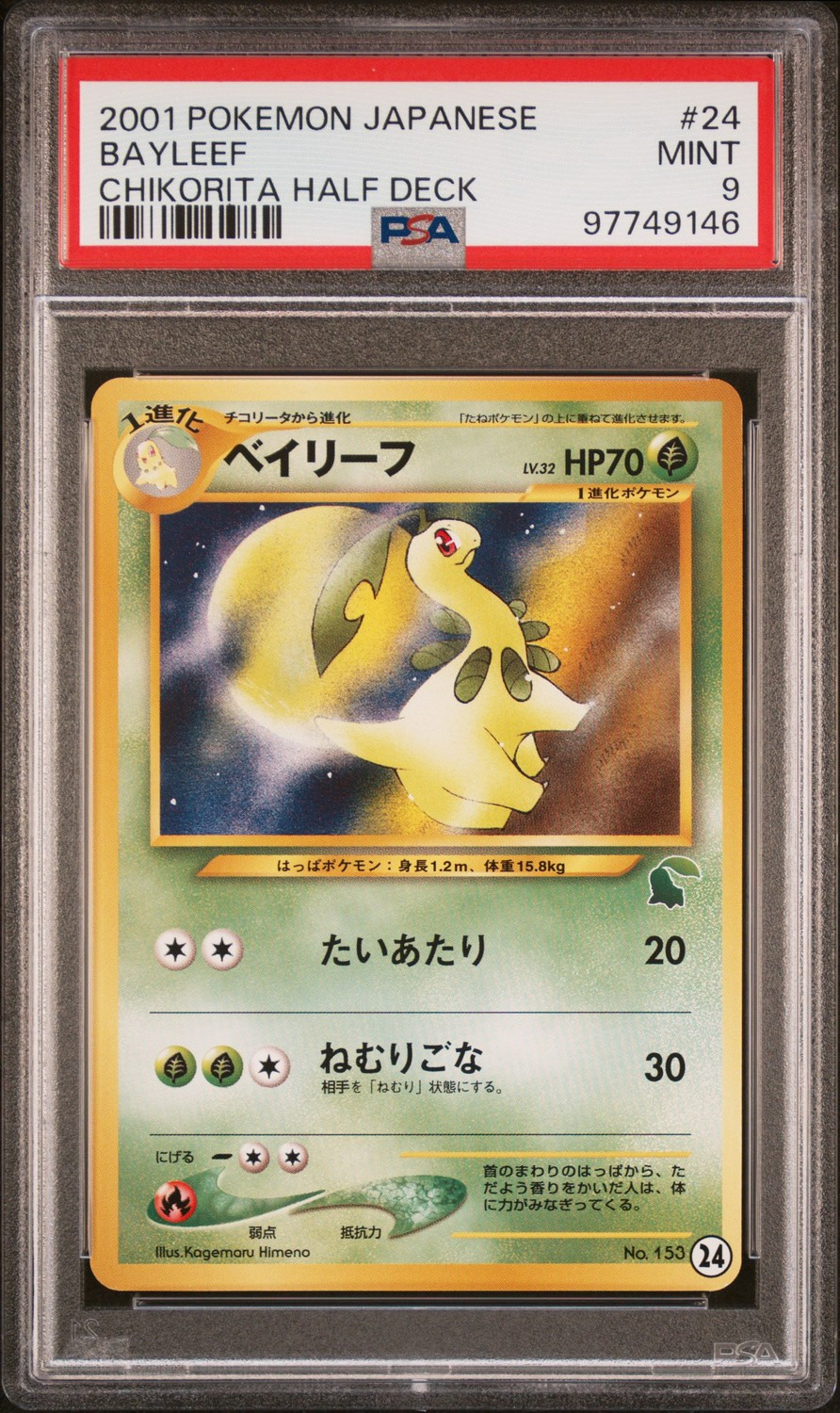 Bayleef