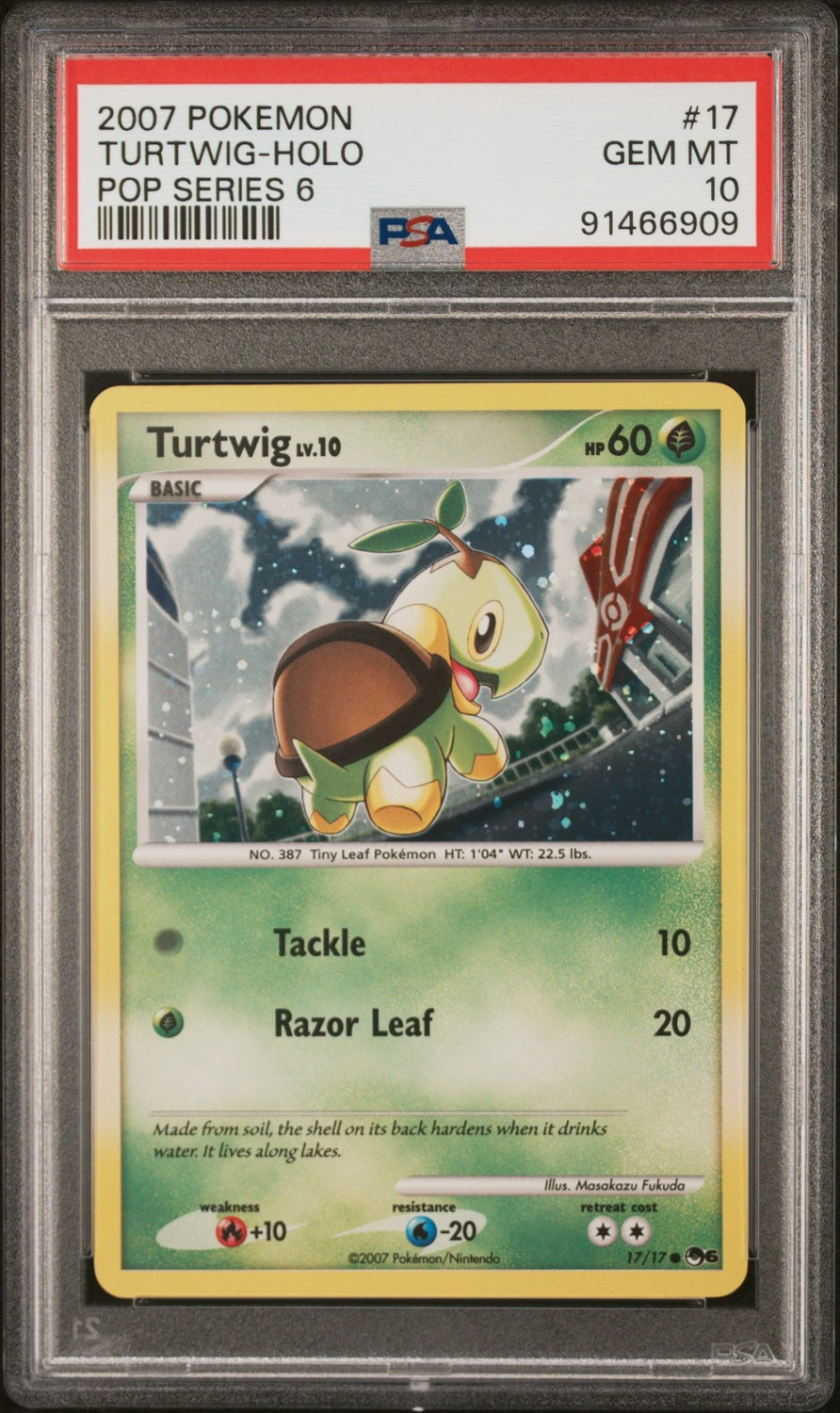 Turtwig