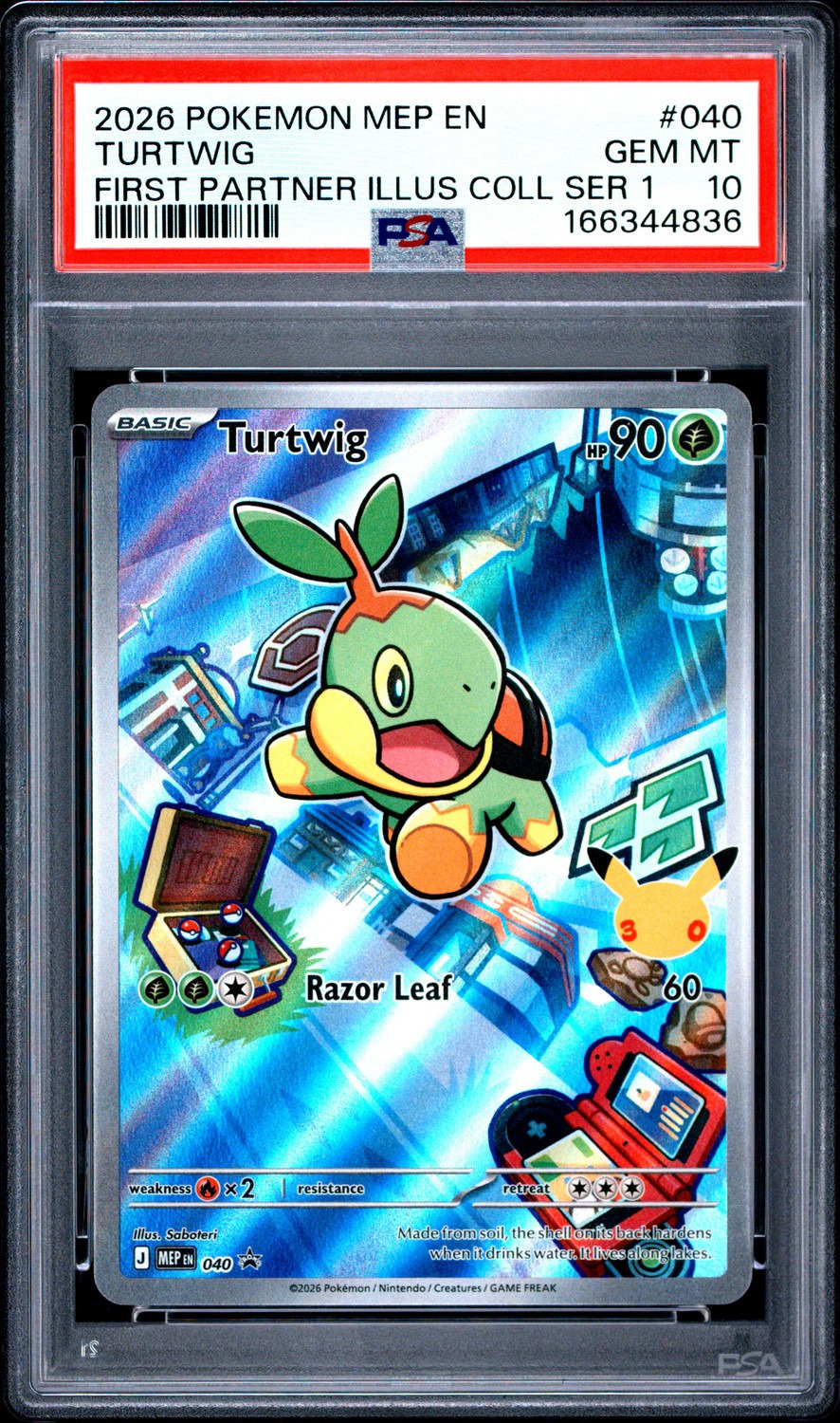 Turtwig