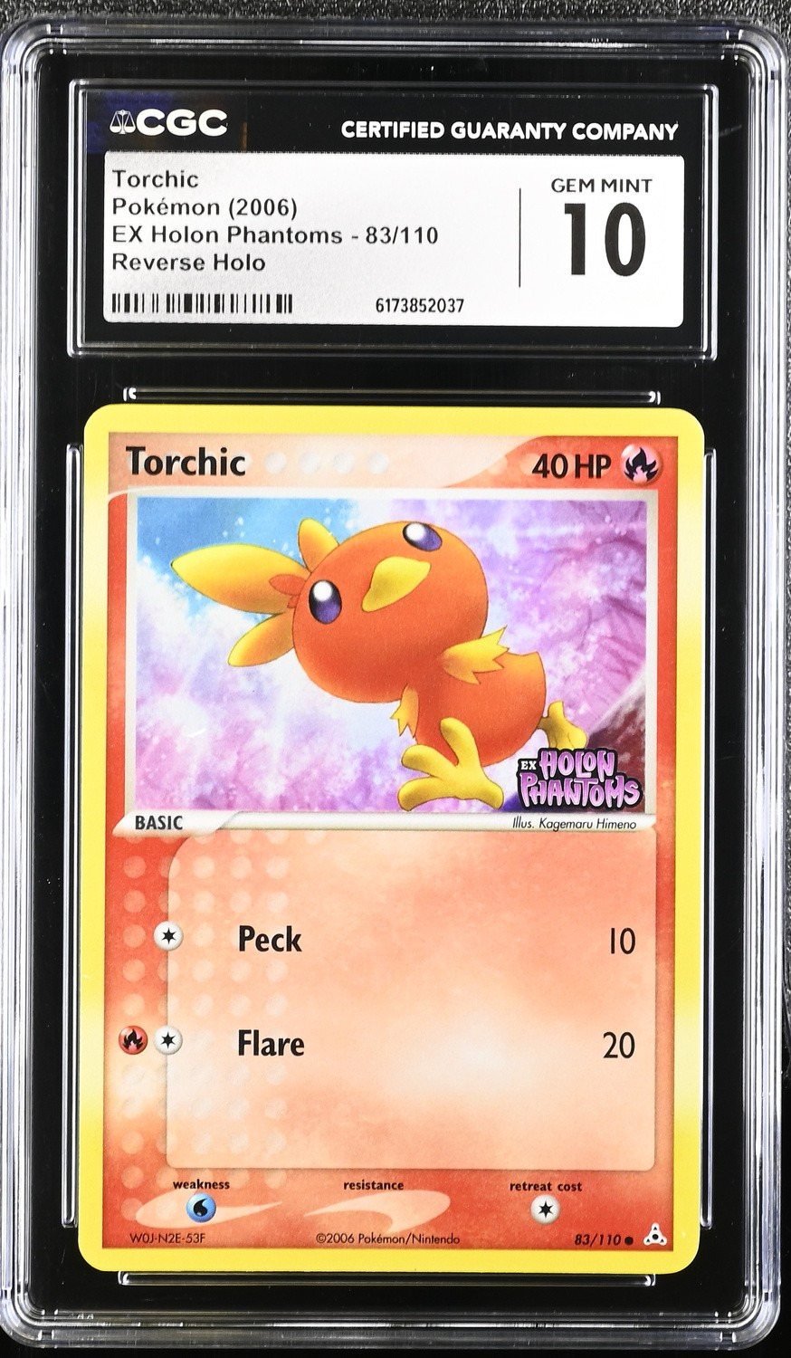 Torchic