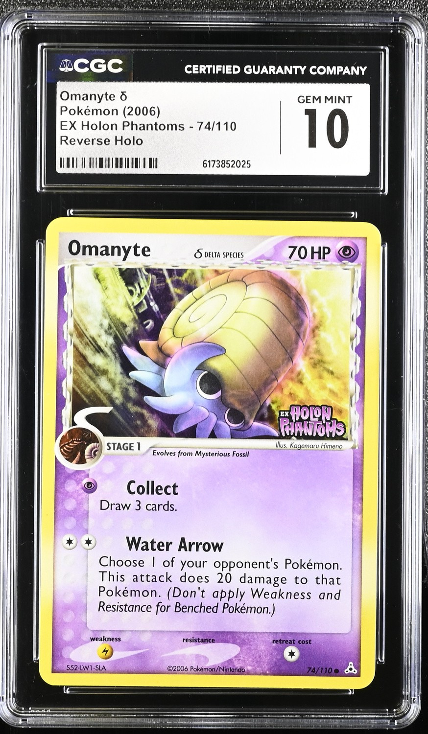 Omanyte δ