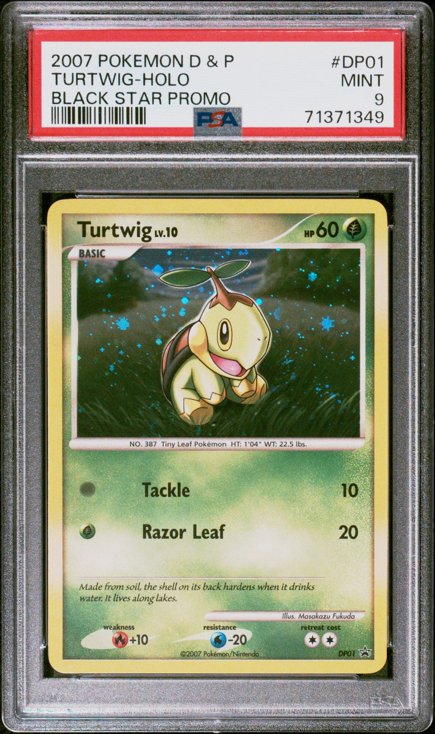 Turtwig