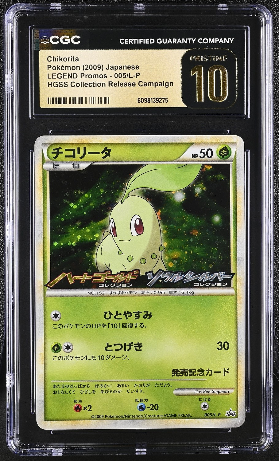 Chikorita