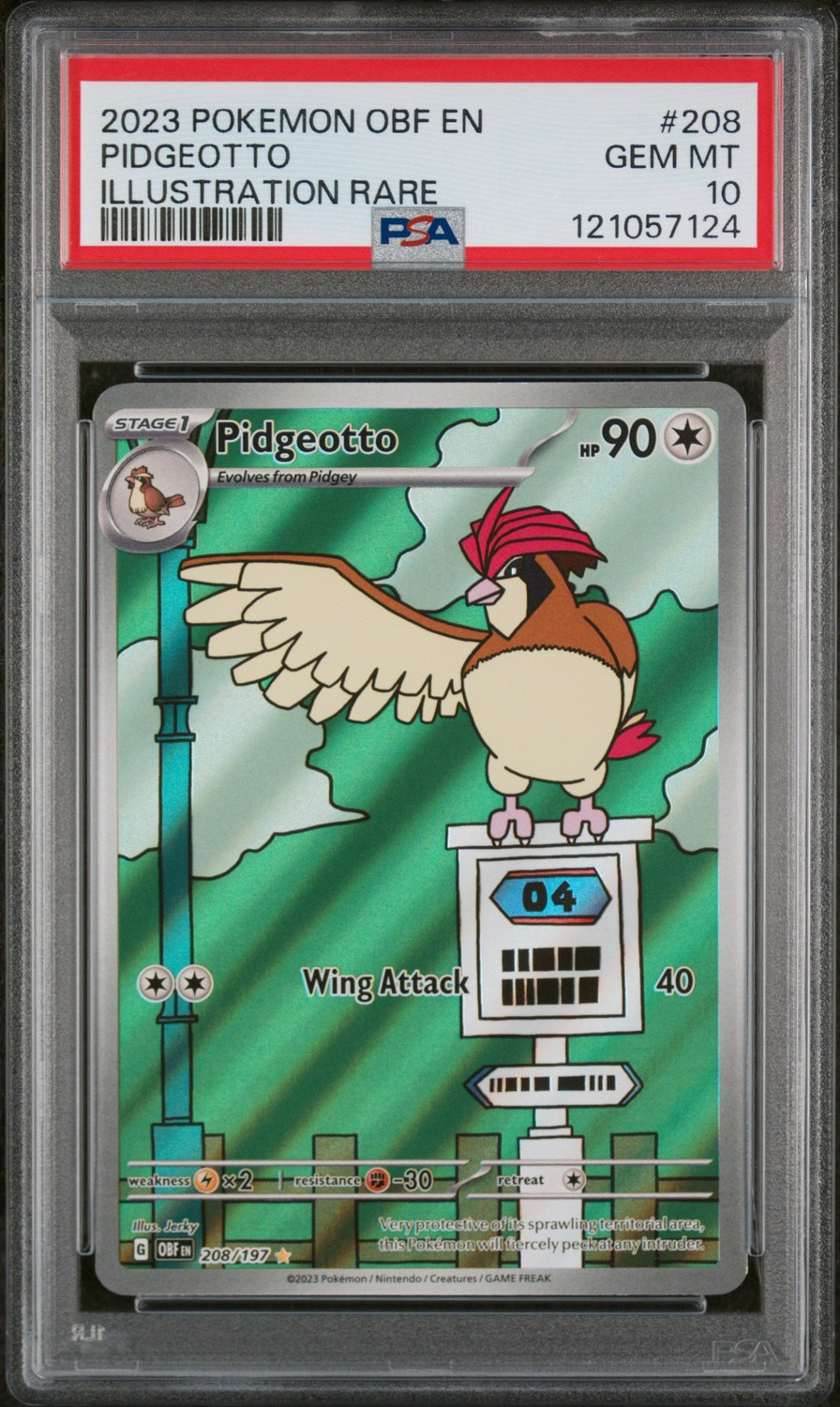 Pidgeotto