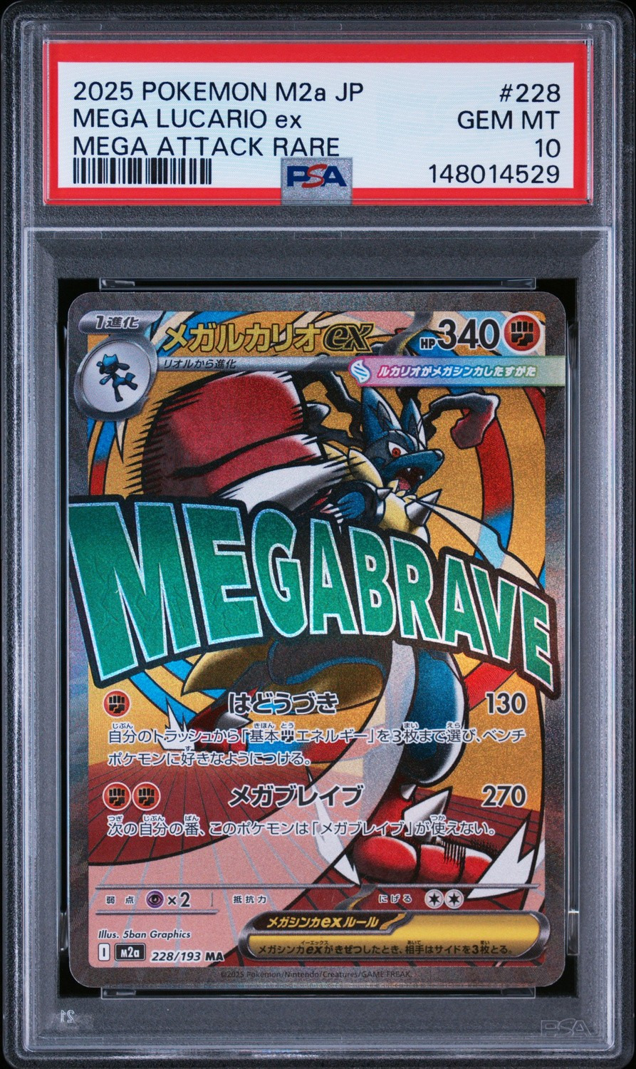 MEGA LUCARIO ex