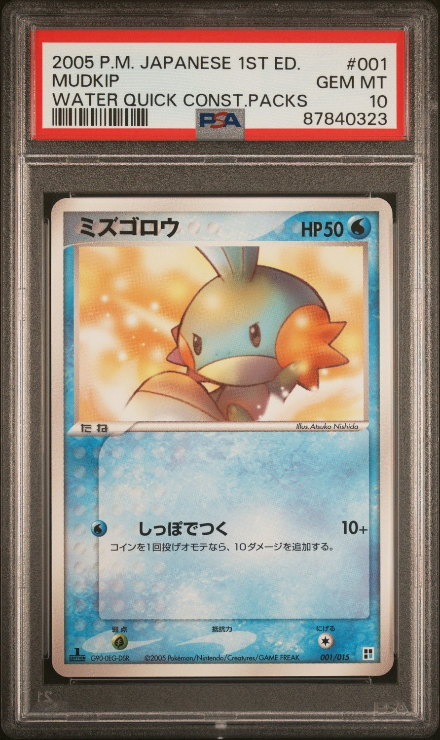 Mudkip