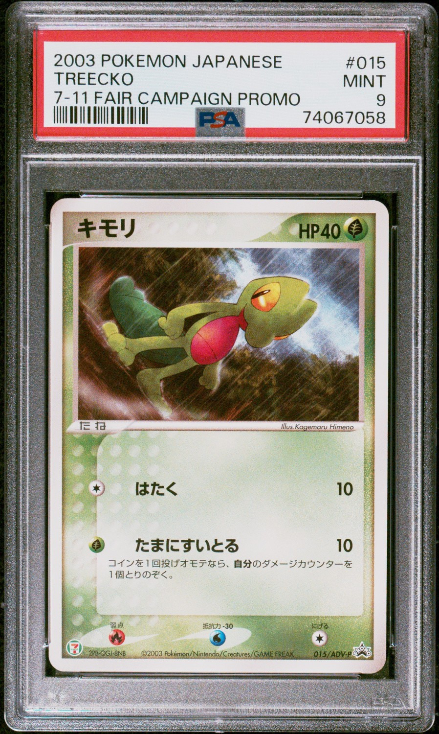 Treecko