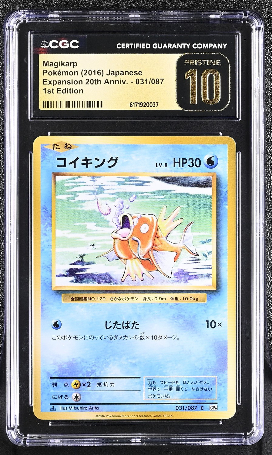Magikarp