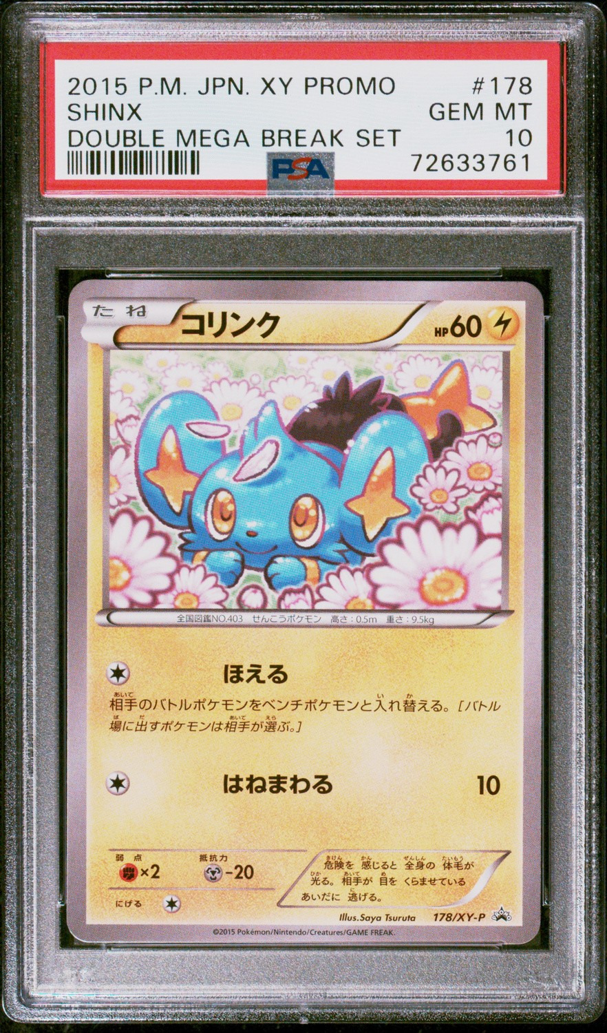 Shinx