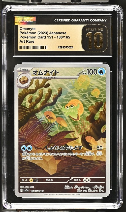 Omanyte