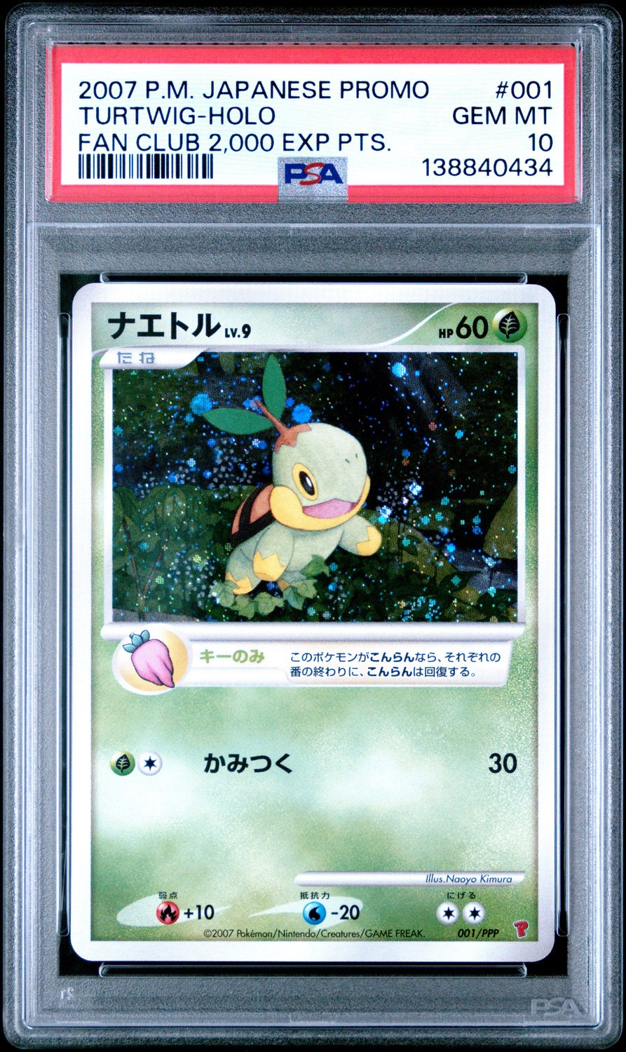 Turtwig
