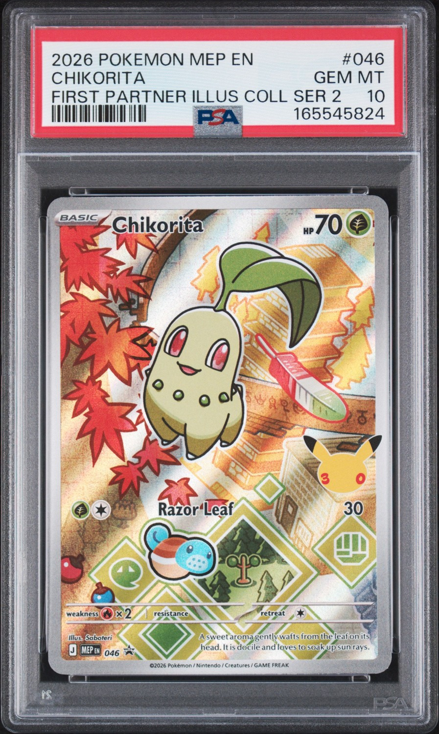 Chikorita