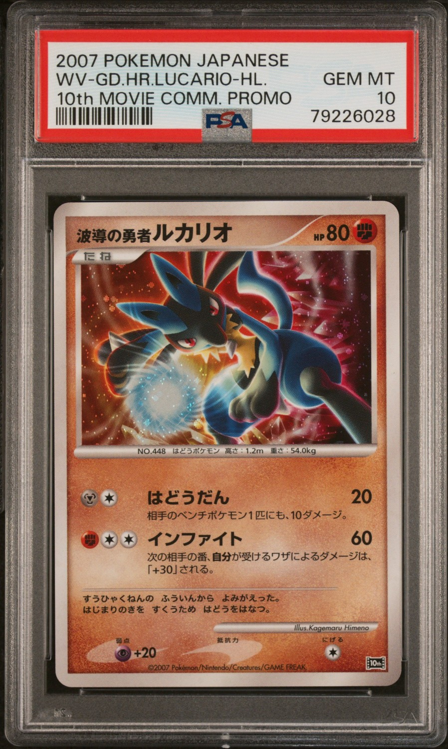 Wave-Guiding Hero Lucario