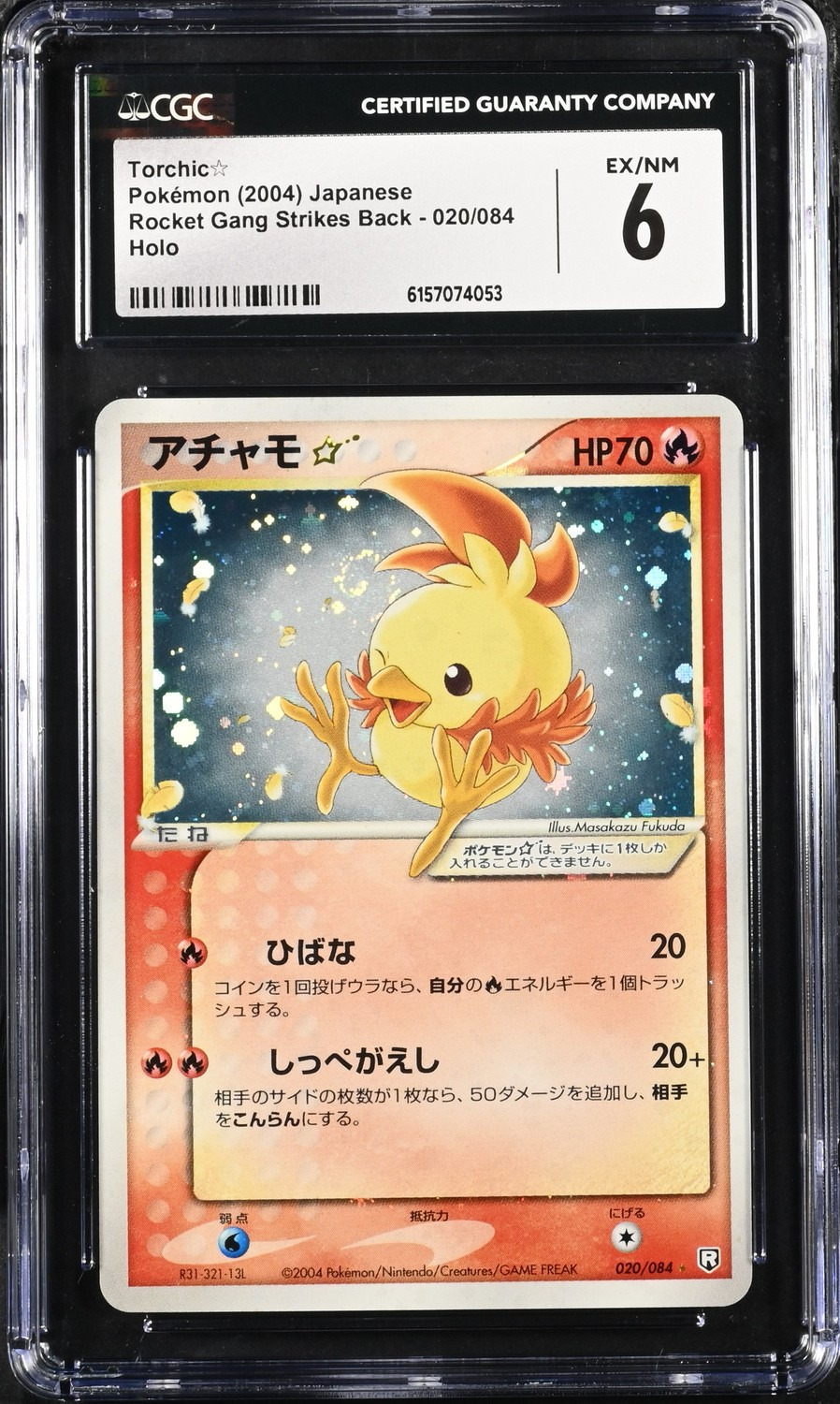 Torchic