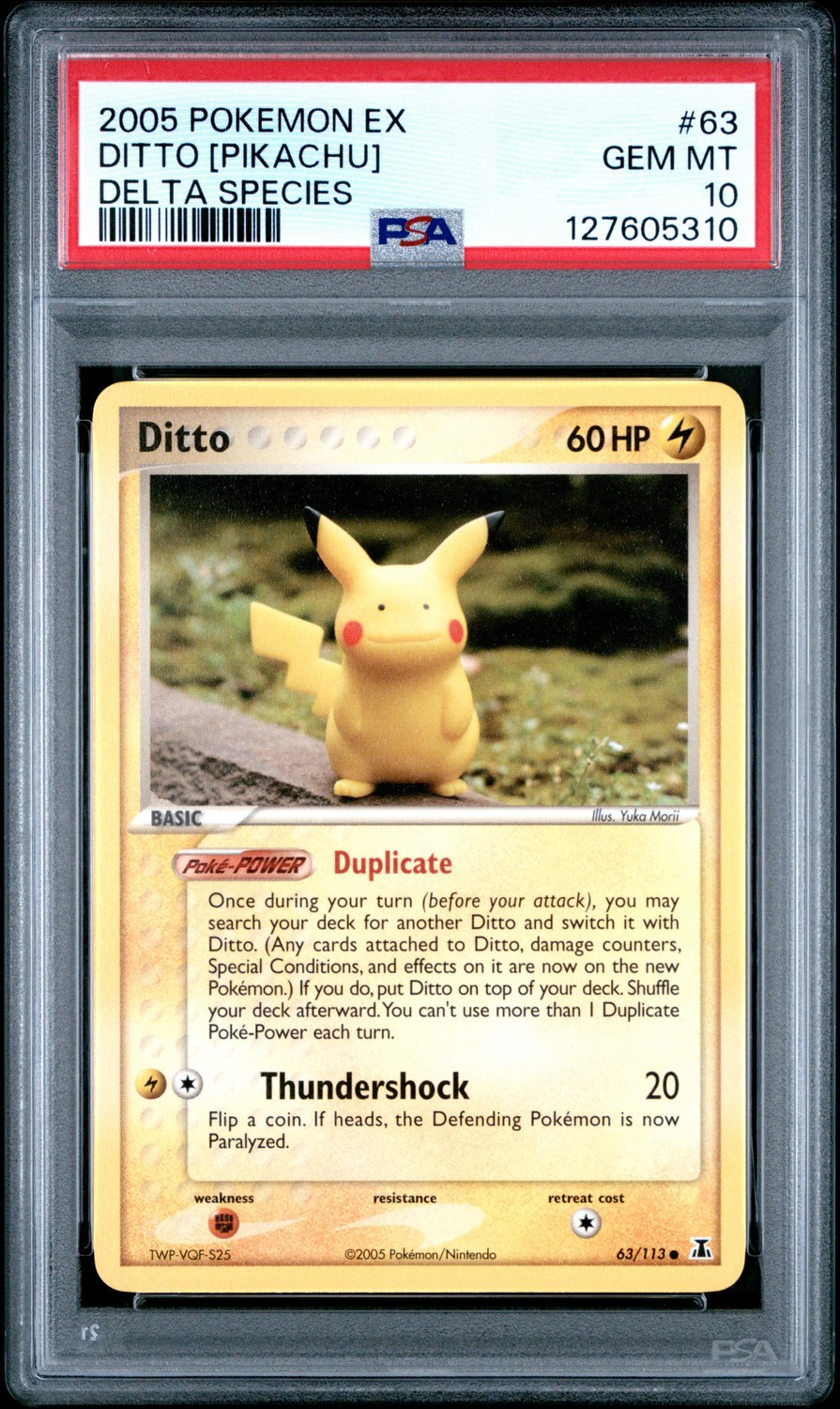 Ditto [Pikachu]