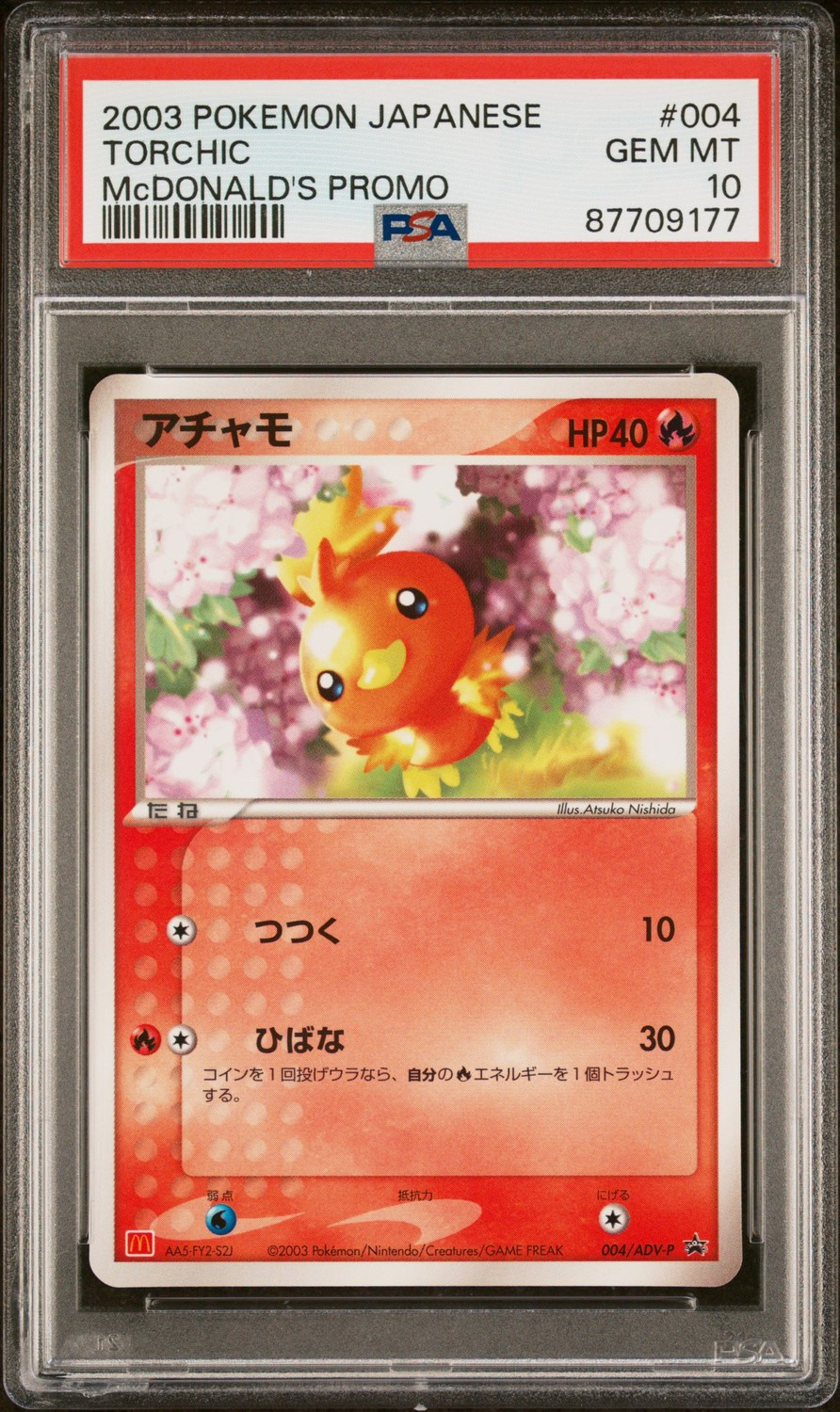 Torchic