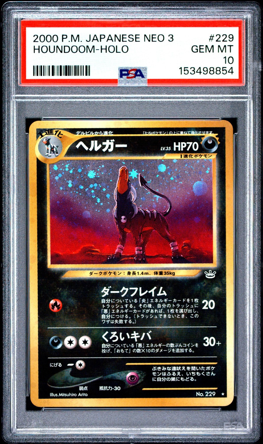Houndoom