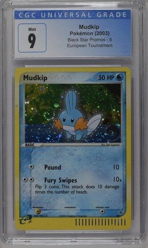 Mudkip