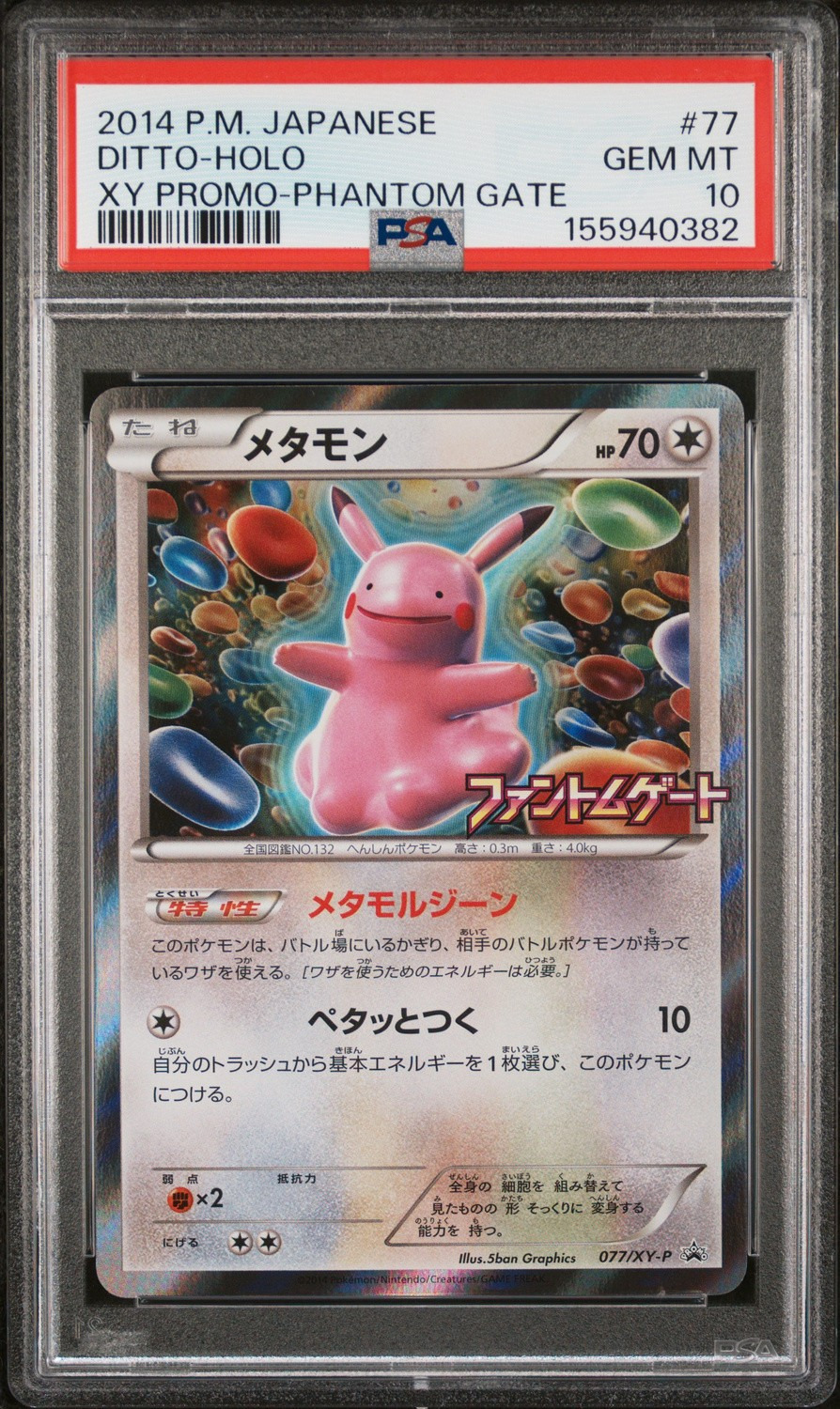 Ditto