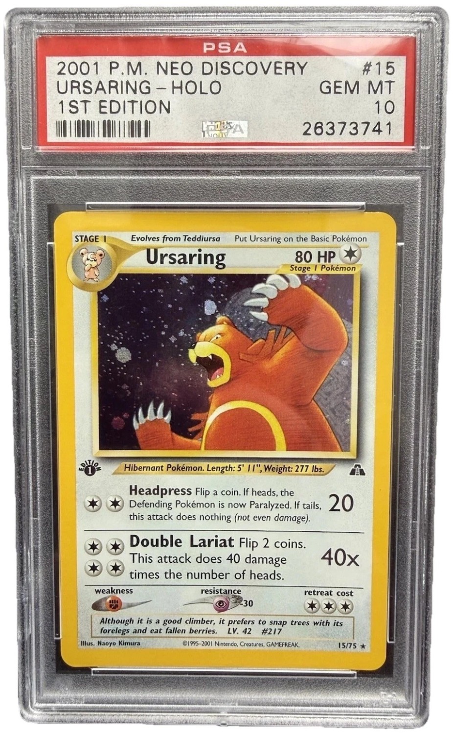 Ursaring