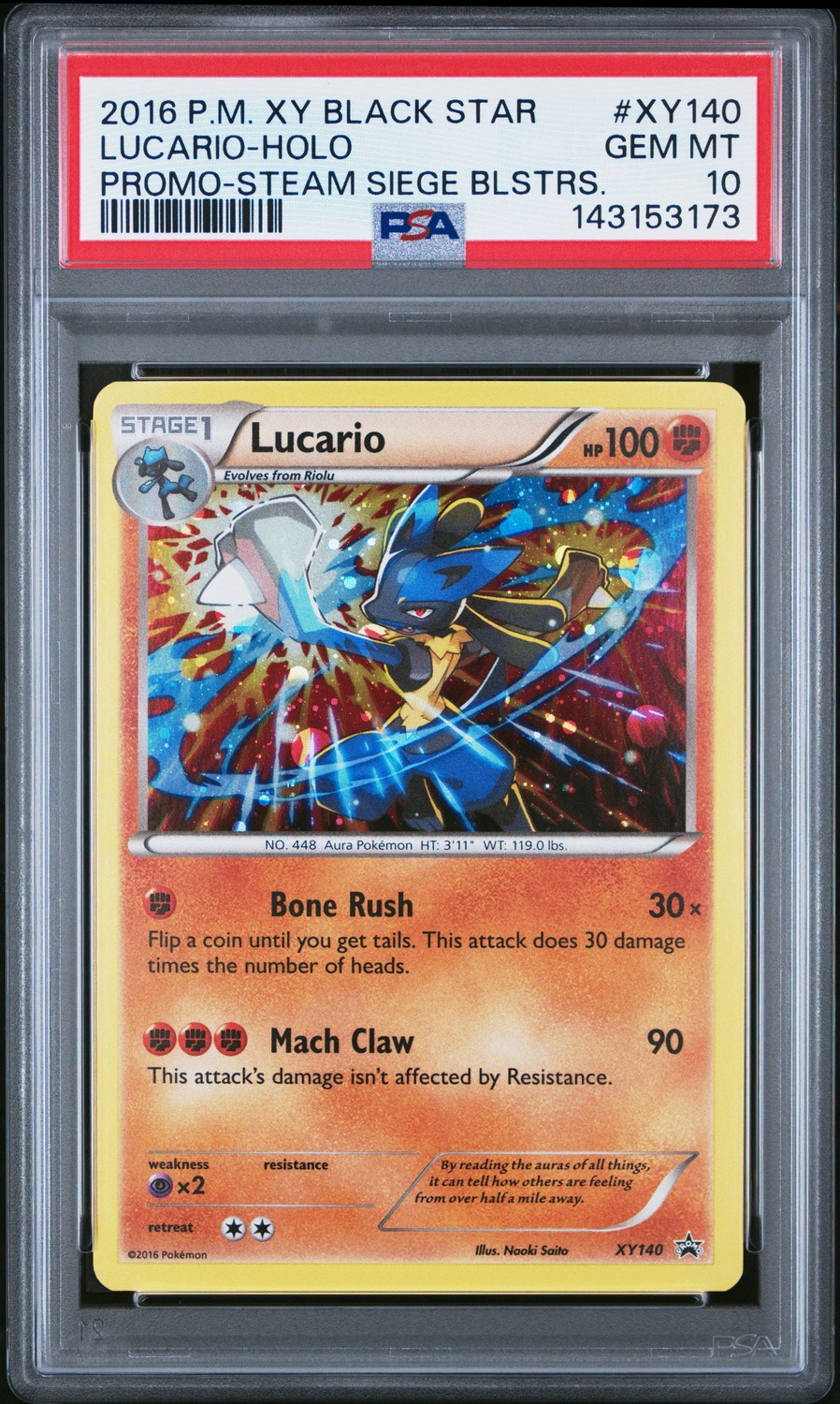 Lucario