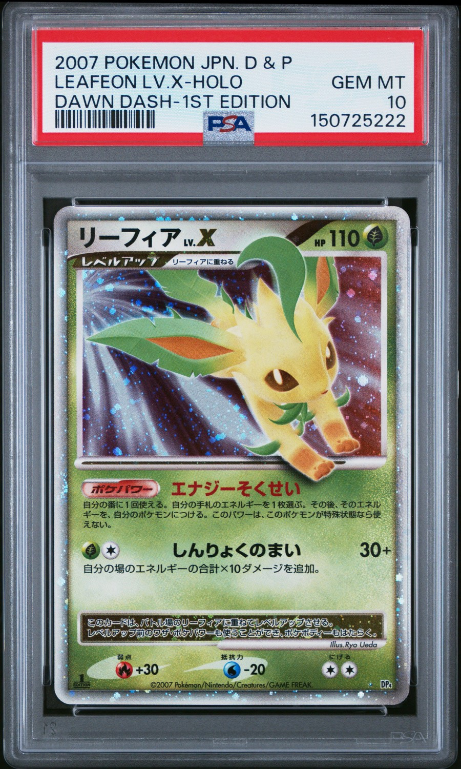 Leafeon Lv X