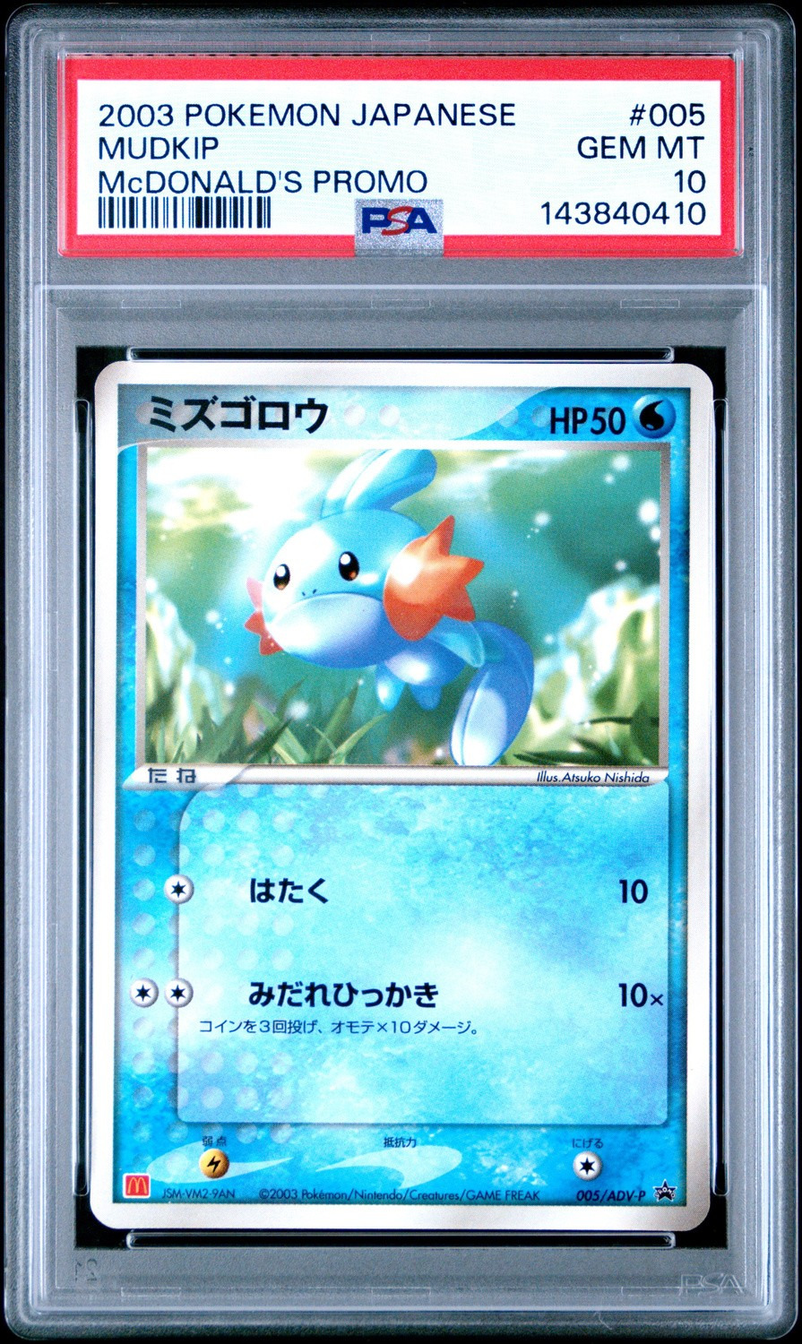 Mudkip