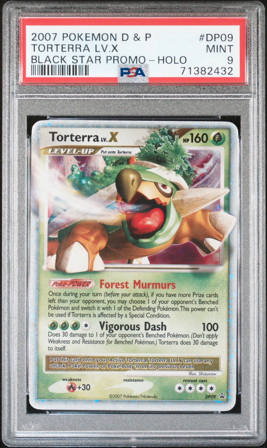 TORTERRA LV.X