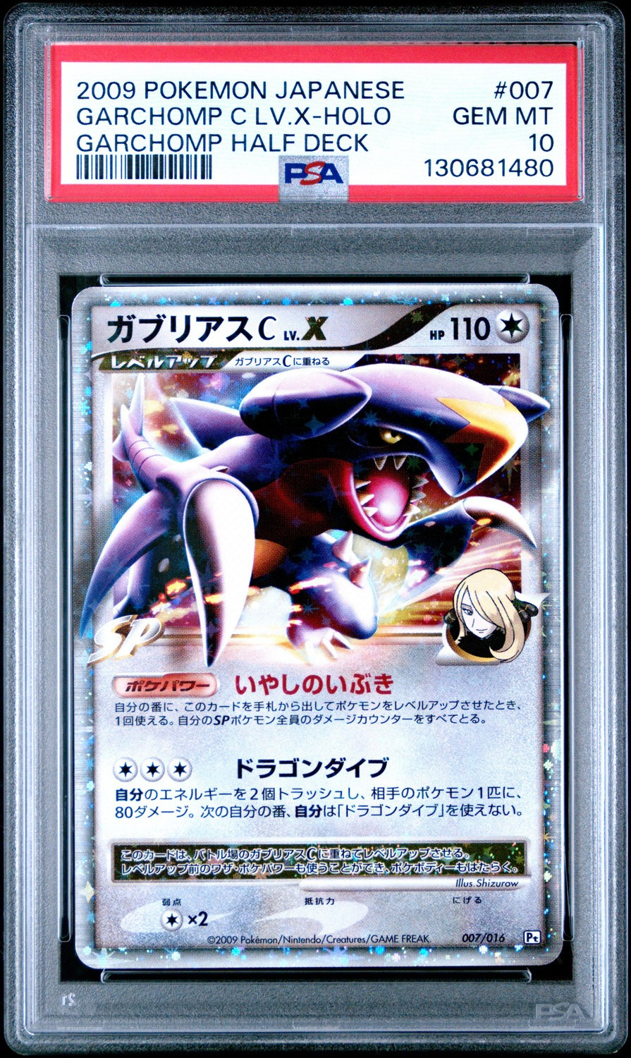 GARCHOMP C LV.X