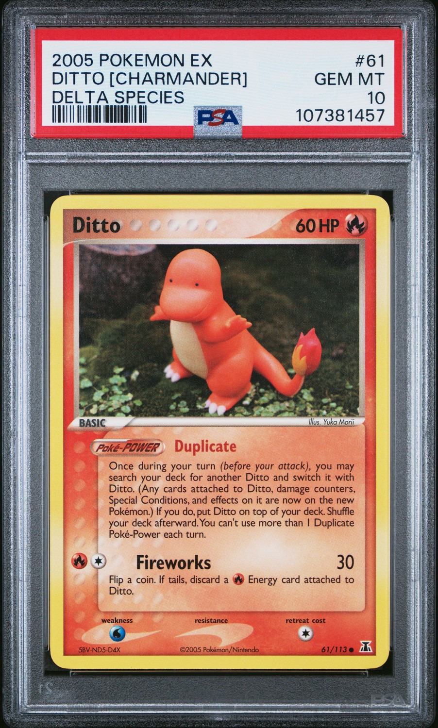 Ditto [Charmander]