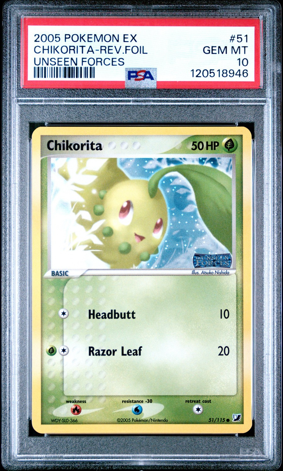 Chikorita