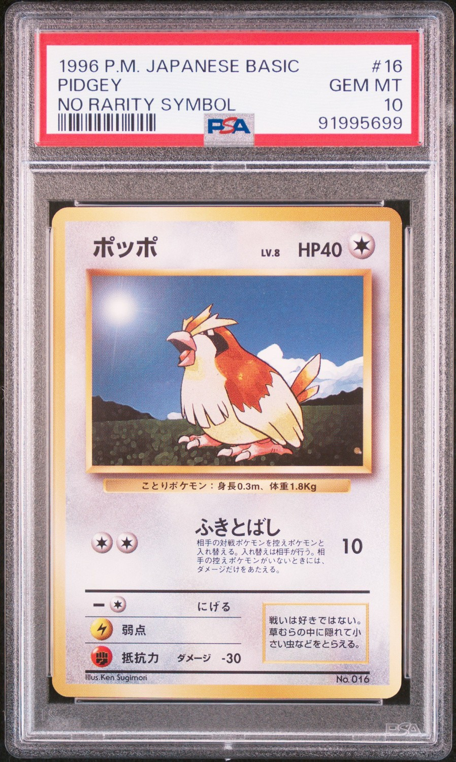 Pidgey