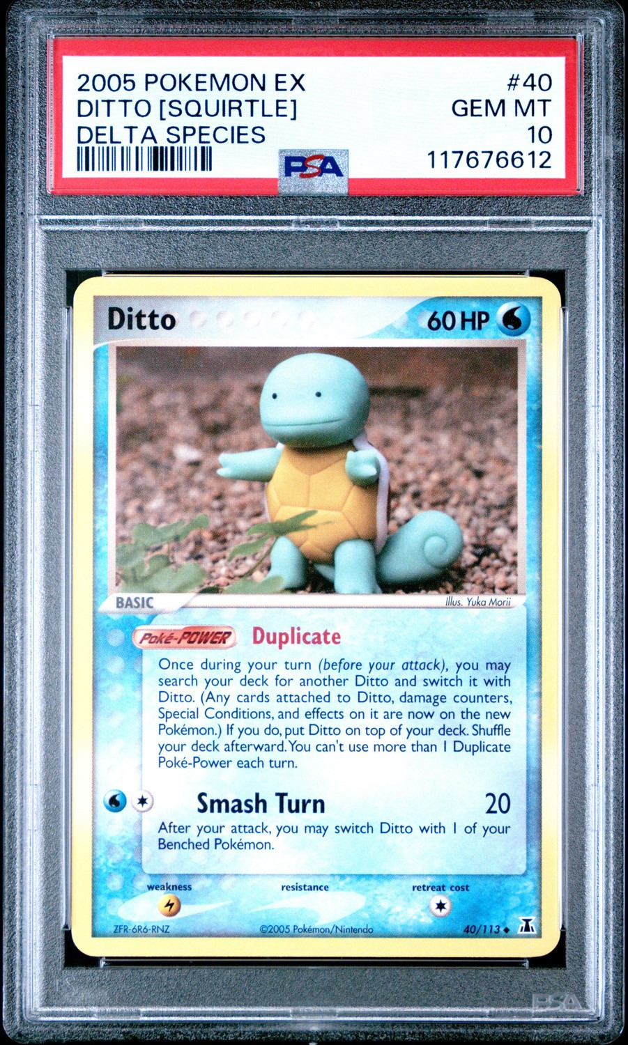 Ditto [Squirtle]